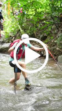 BIB:  <button type="button" onclick="openModal(26819581)" class="btn btn-primary btn-sm float-right" data-toggle="modal" data-target=".modal-high-quality">
                <i class="fa fa-download"></i> Download
                </button>